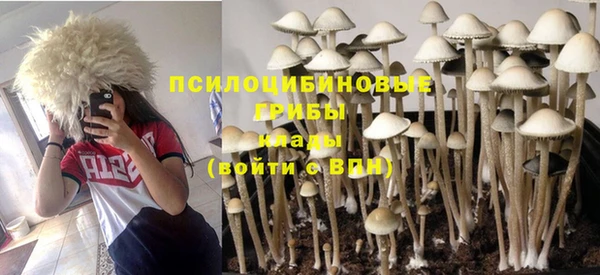 PSILOCYBIN Абинск