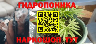 прущие крисы Канаш