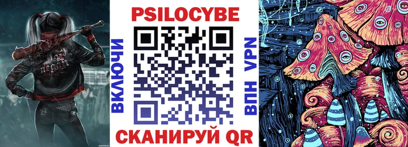 закладки  Нальчик  Галлюциногенные грибы Psilocybe 