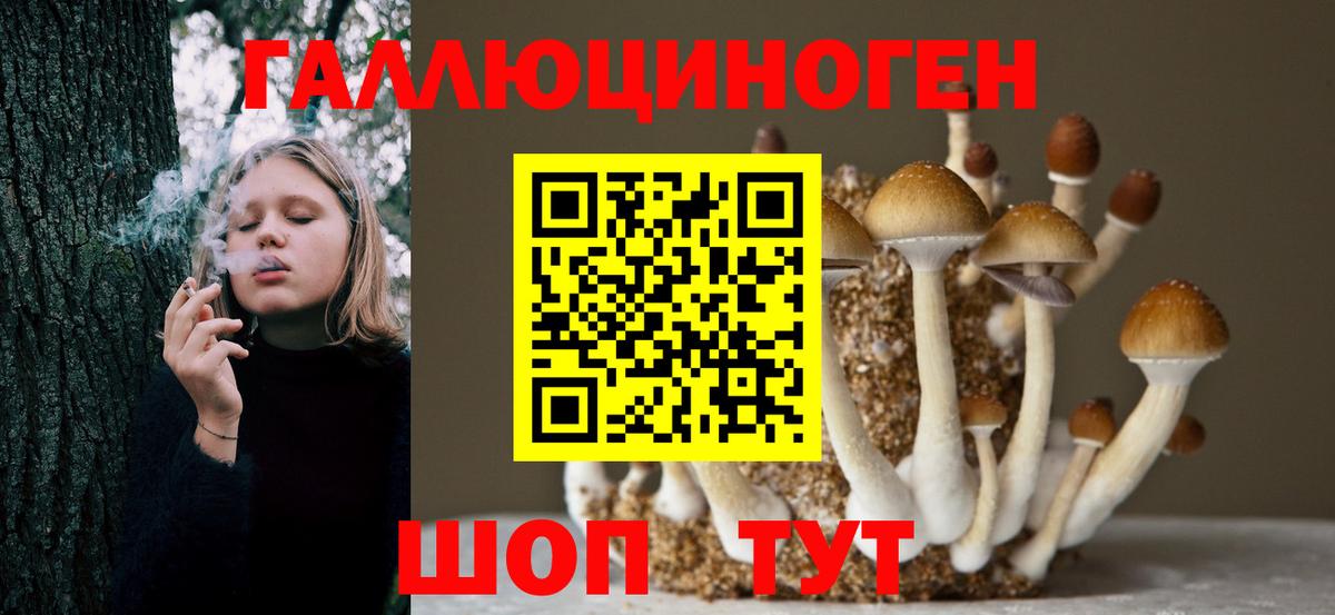 Галлюциногенные грибы Magic Shrooms  Вход с VPN  Нальчик  наркошоп  Галлюциногенные грибы Magic Shrooms 