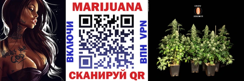 Конопля сатива Нальчик