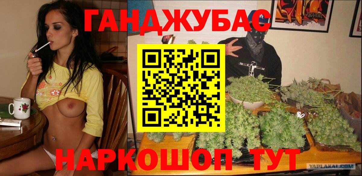 Бошки Шишки планчик Нальчик